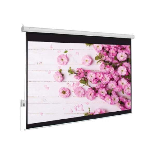 MÀN CHIẾU ĐIỆN  - 100 Inch (180cm x 180cm, Tỉ lệ 1:1.)