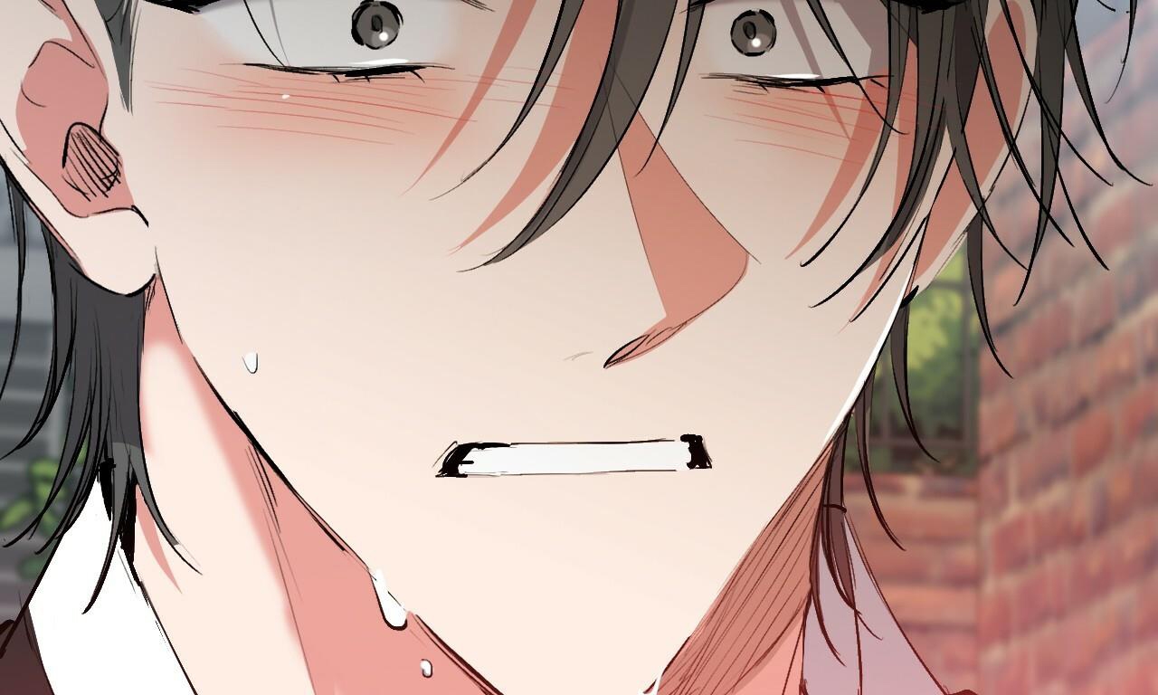 đàn thỏ của habibi chapter 50 79