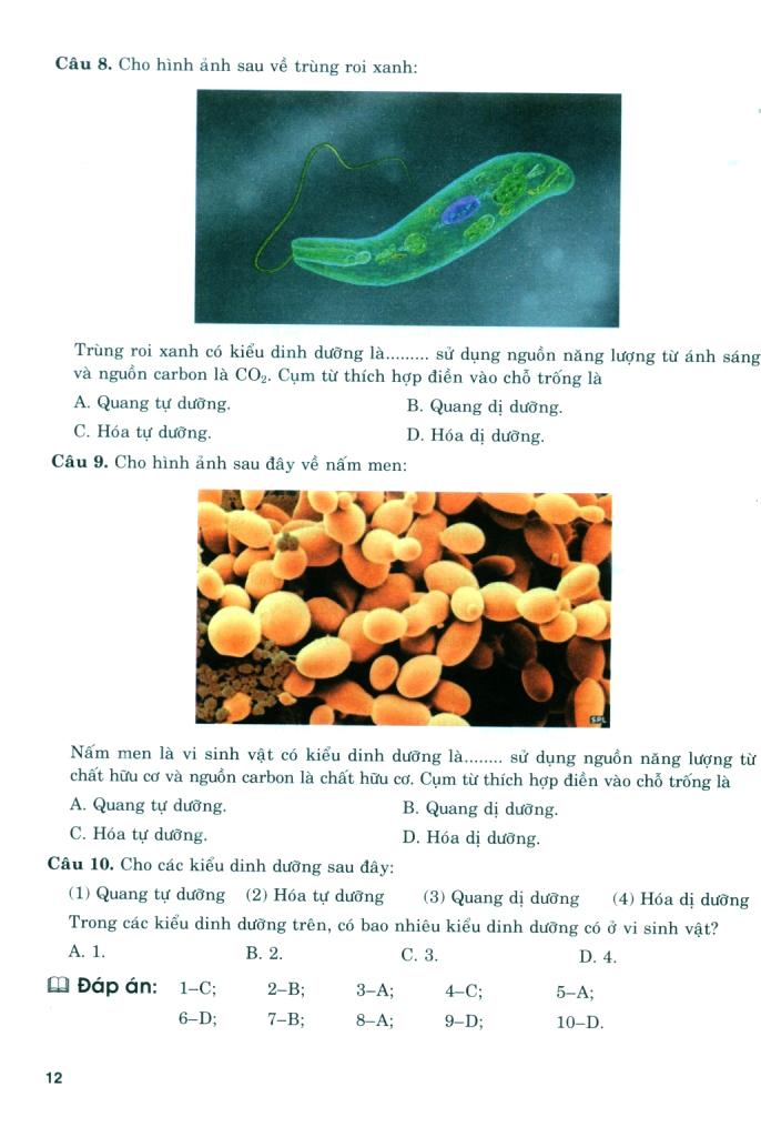 Bồi Dưỡng Năng Lực Tự Học Sinh Học 11