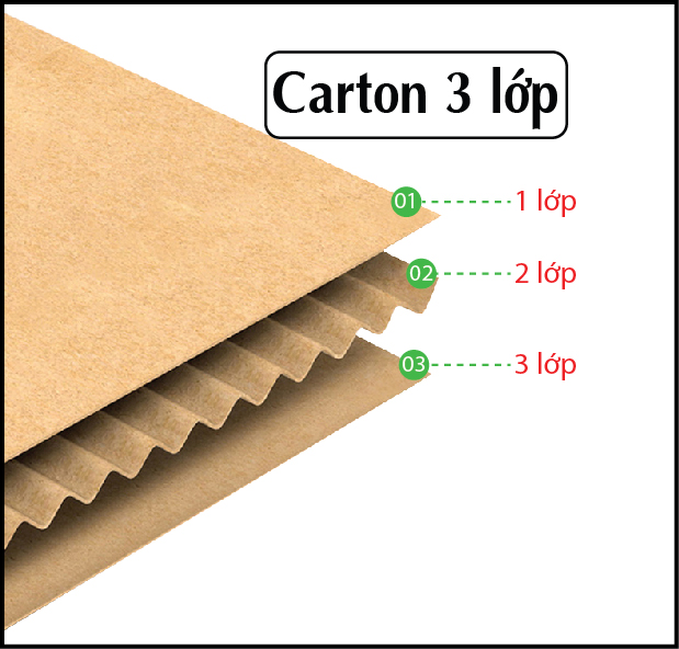 Hộp carton đóng hàng 20x12x8 (50 cái)