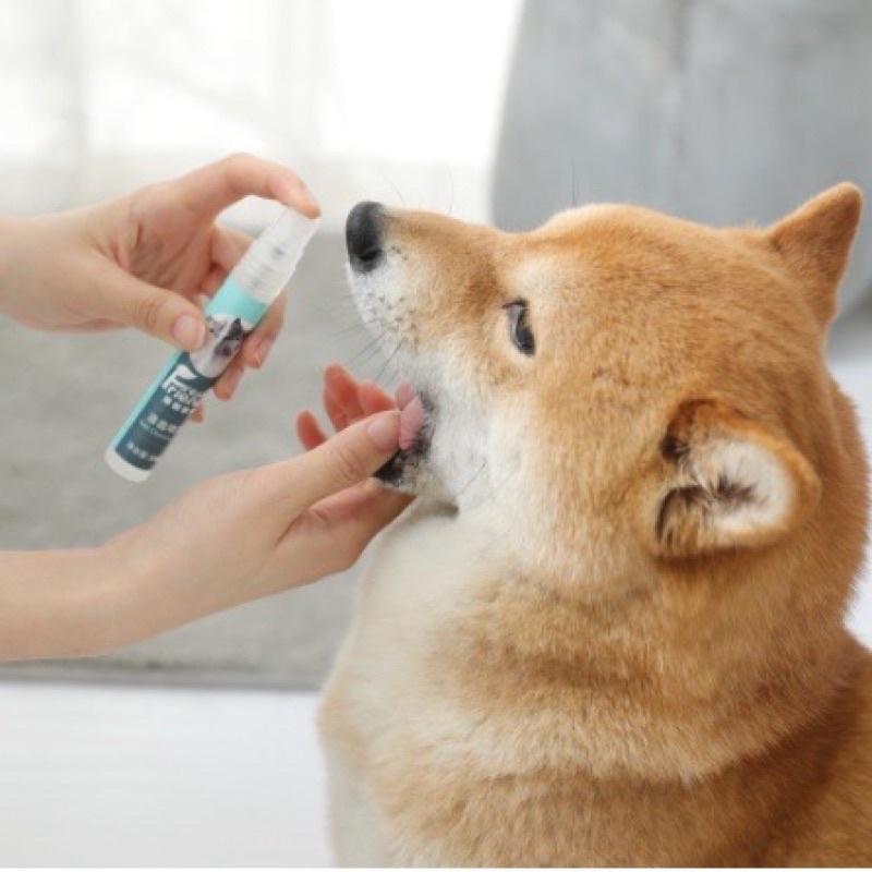 Xịt thơm miệng - diệt khuẩn cho chó mèo Fresh Friend - chống hôi miệng chó mèo