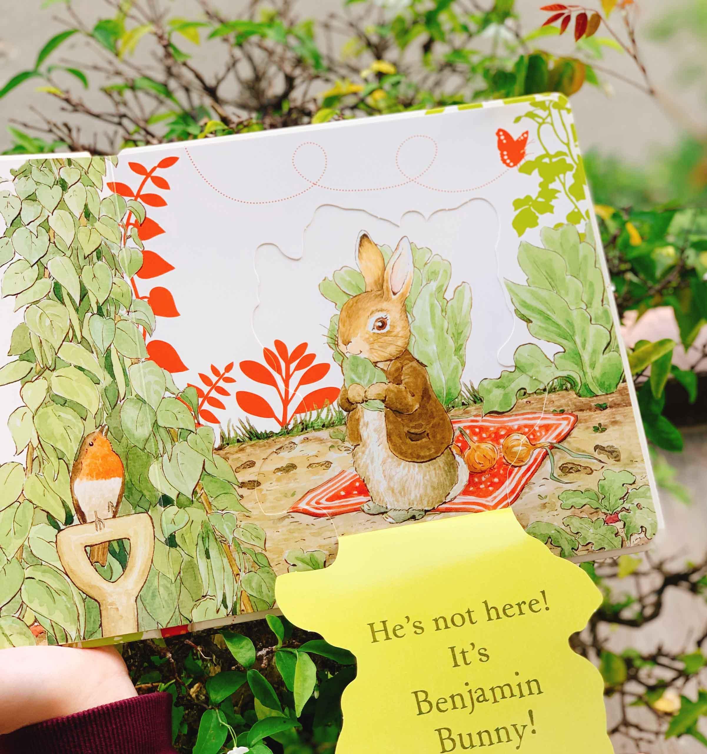 Where is Peter Rabbit? : Lift the Flap Book