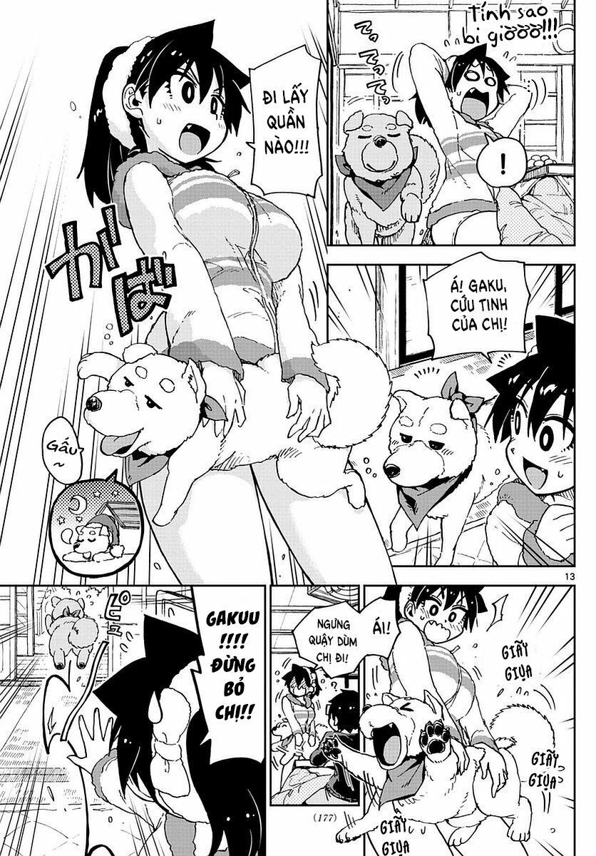 amano megumi wa suki darake! chapter 67 13