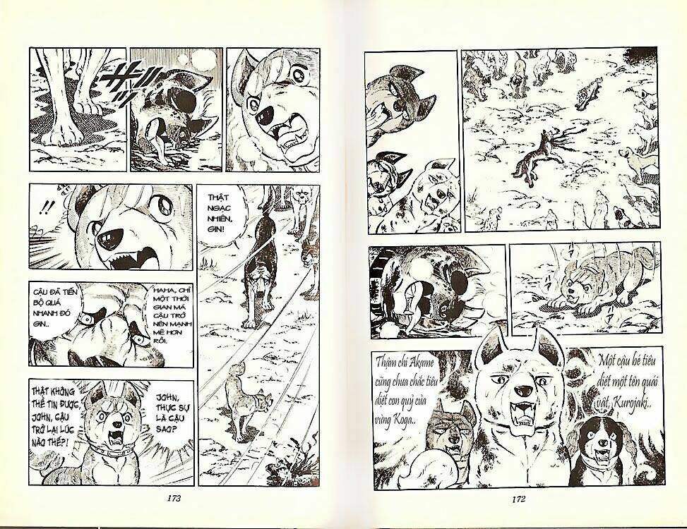 chú chó có nghĩa - ginga nagareboshi gin chapter 21 16