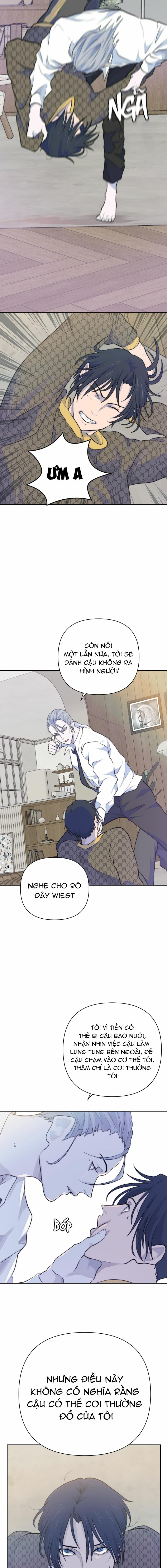 bao nuôi tiền bối chapter 26 8