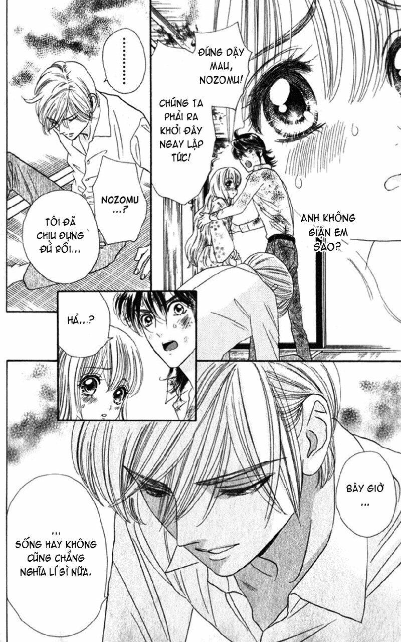 hoa hồng đỏ chapter 14 24