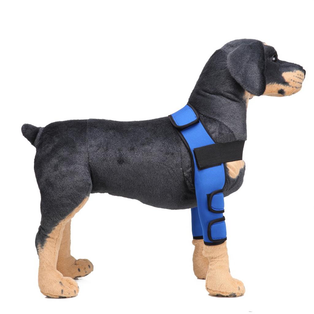 Dog Leg Brace Knee Leg Joint Protector Support Prevents Injuries and Sprains