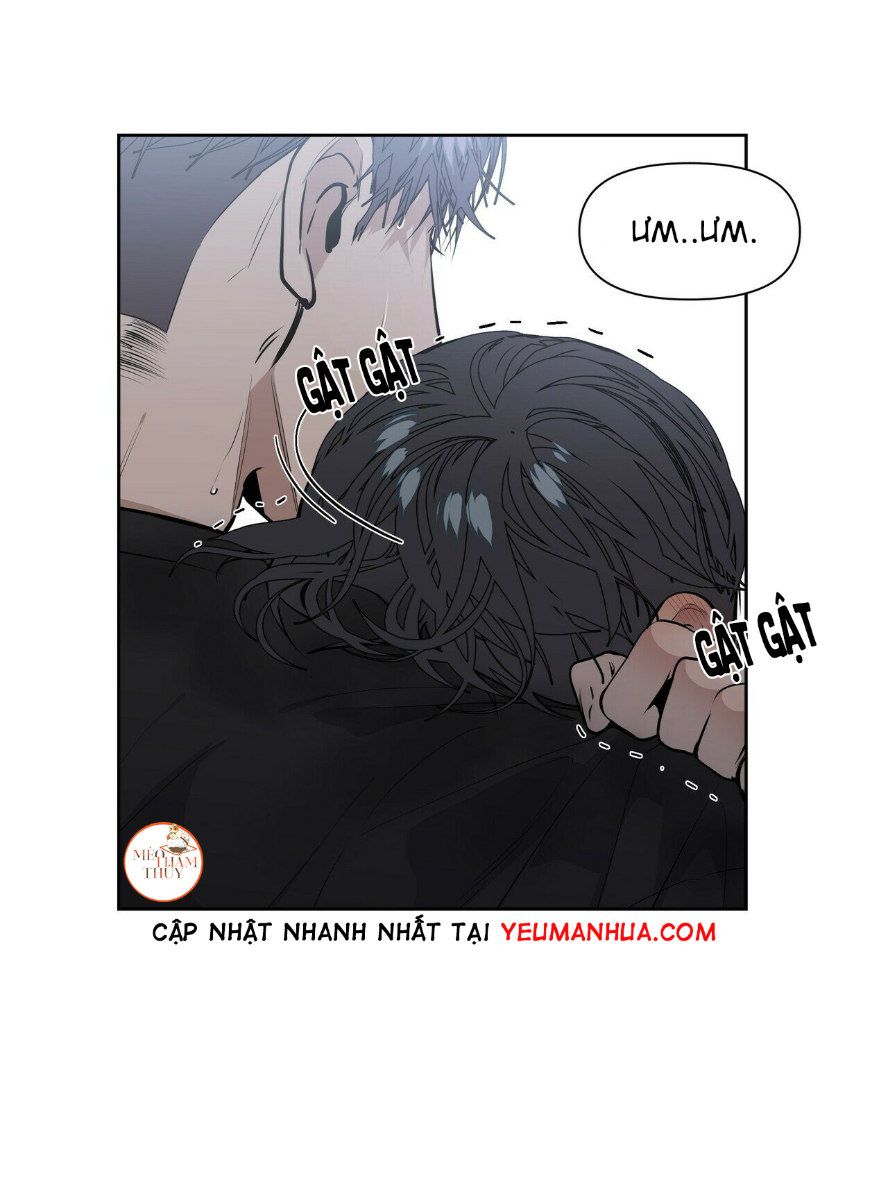 hội chứng chapter 11 39