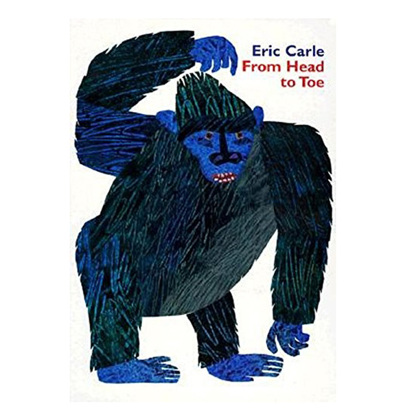 From Head To Toe Board Bk