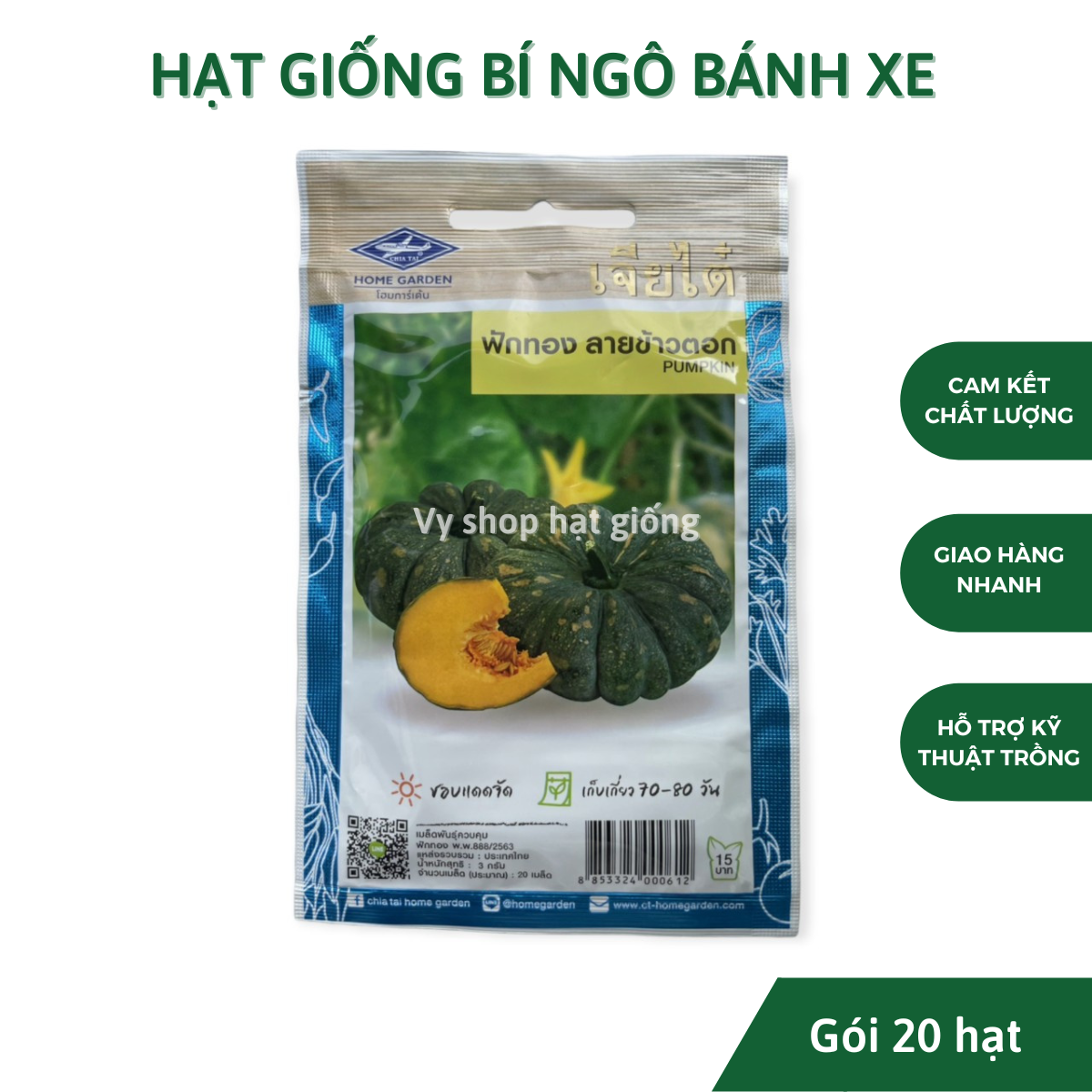 Hạt giống bí ngô bánh xe Thái Lan