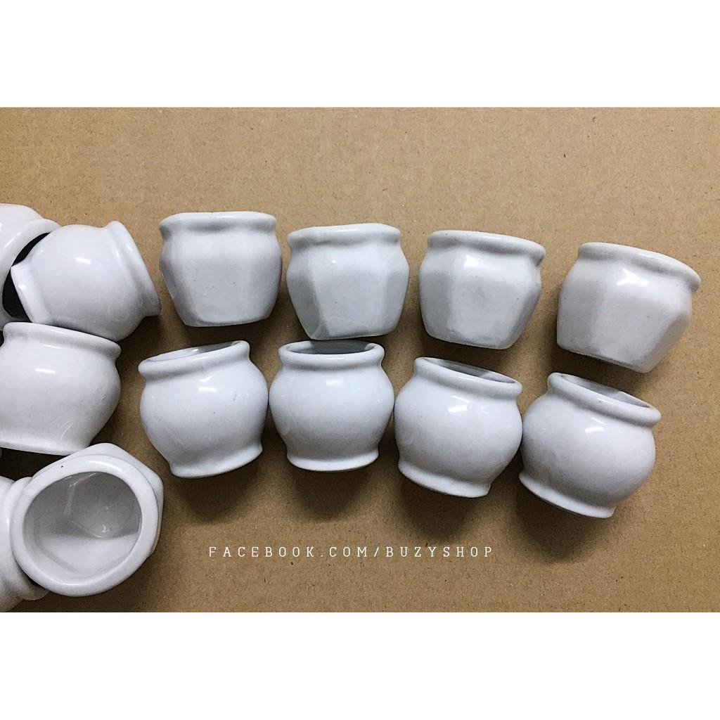 Chậu sứ trắng mini, chậu trồng sen đá - giao mẫu ngẫu nhiên