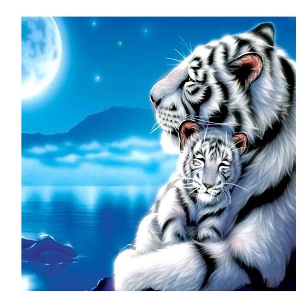 DIY 5D Diamond Painting Embroidery Cross Craft Stitch Home Decoration Arts Crafts 30x30cm - Tiger