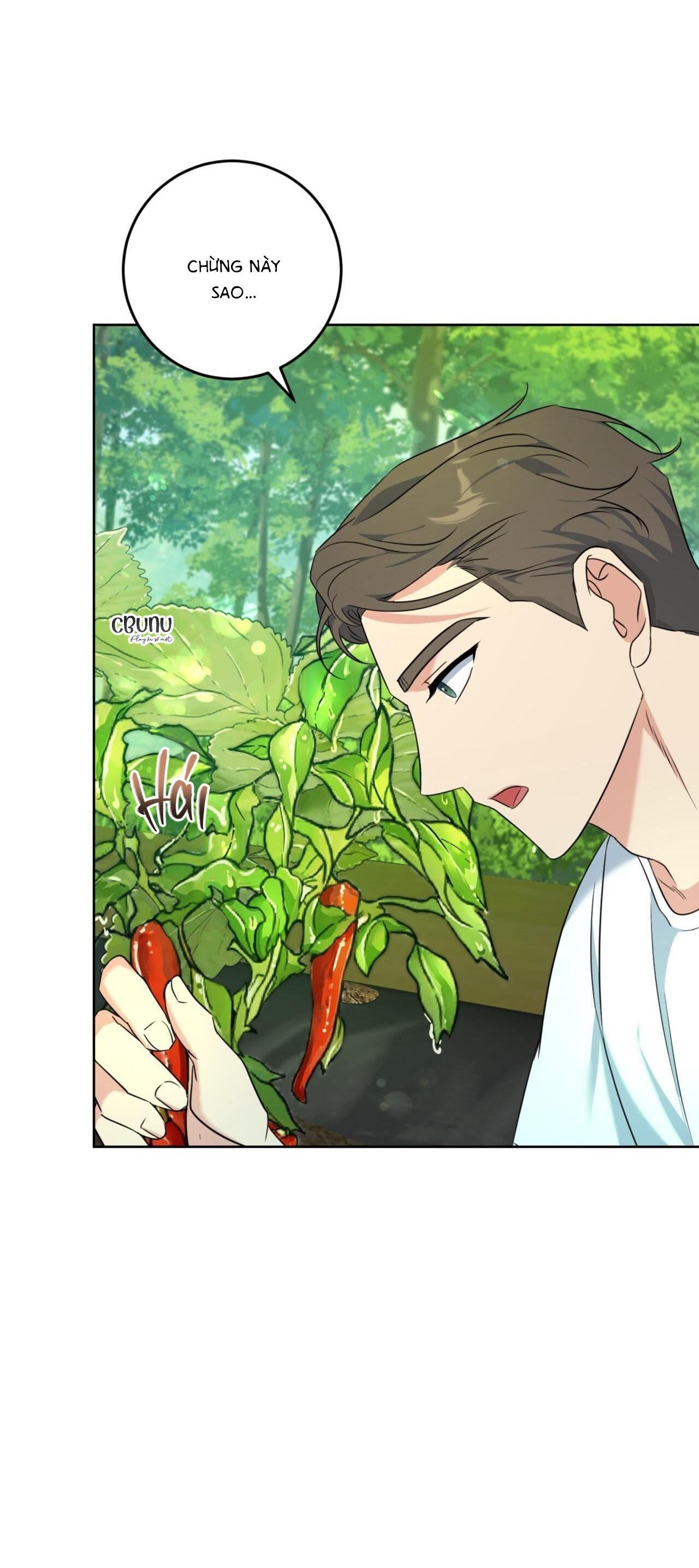 khu rừng tĩnh lặng chapter 3 25