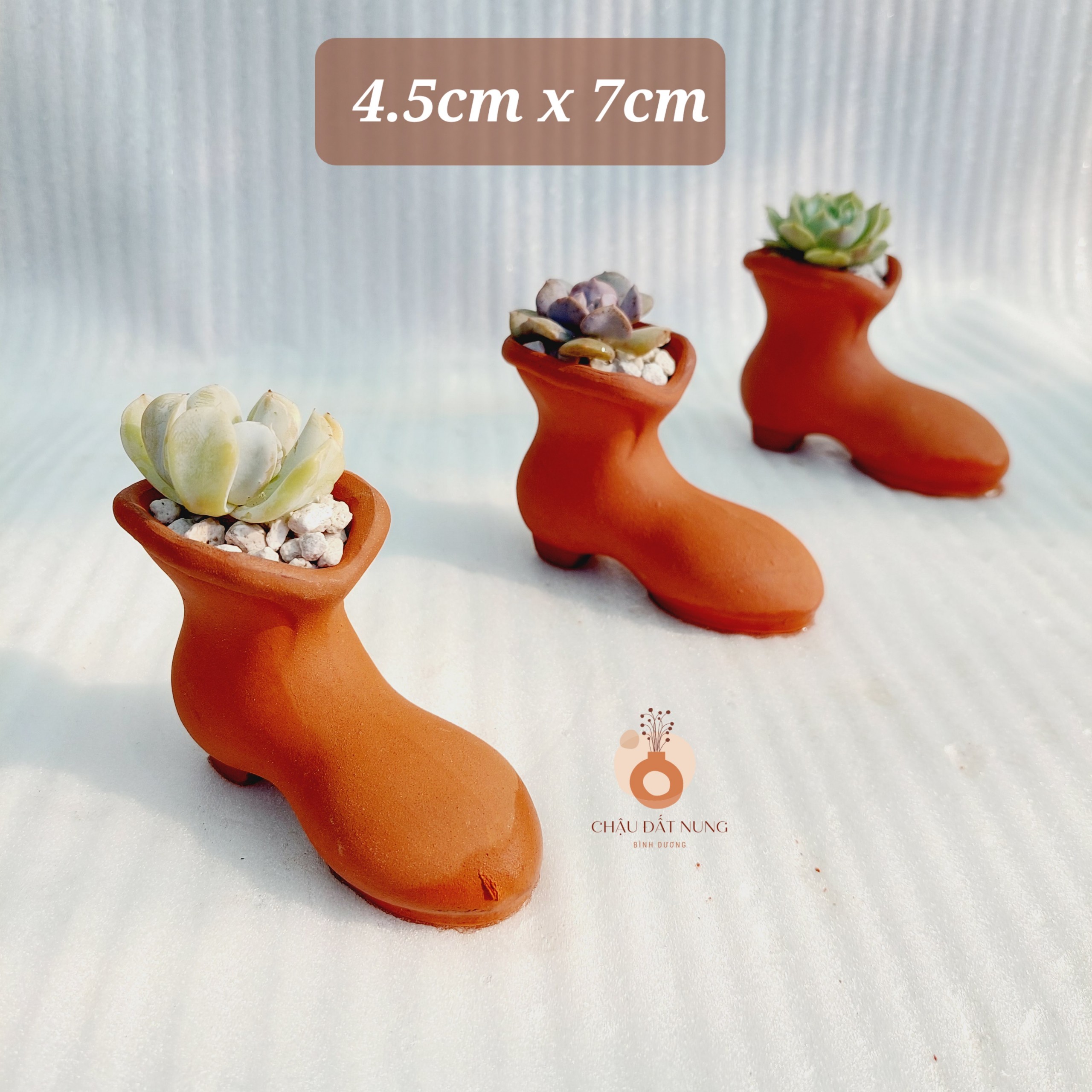 Chậu đất nung Bình Dương - Chiếc hài lọ lem, miệng chậu 4.5cm, chiều cao 7cm