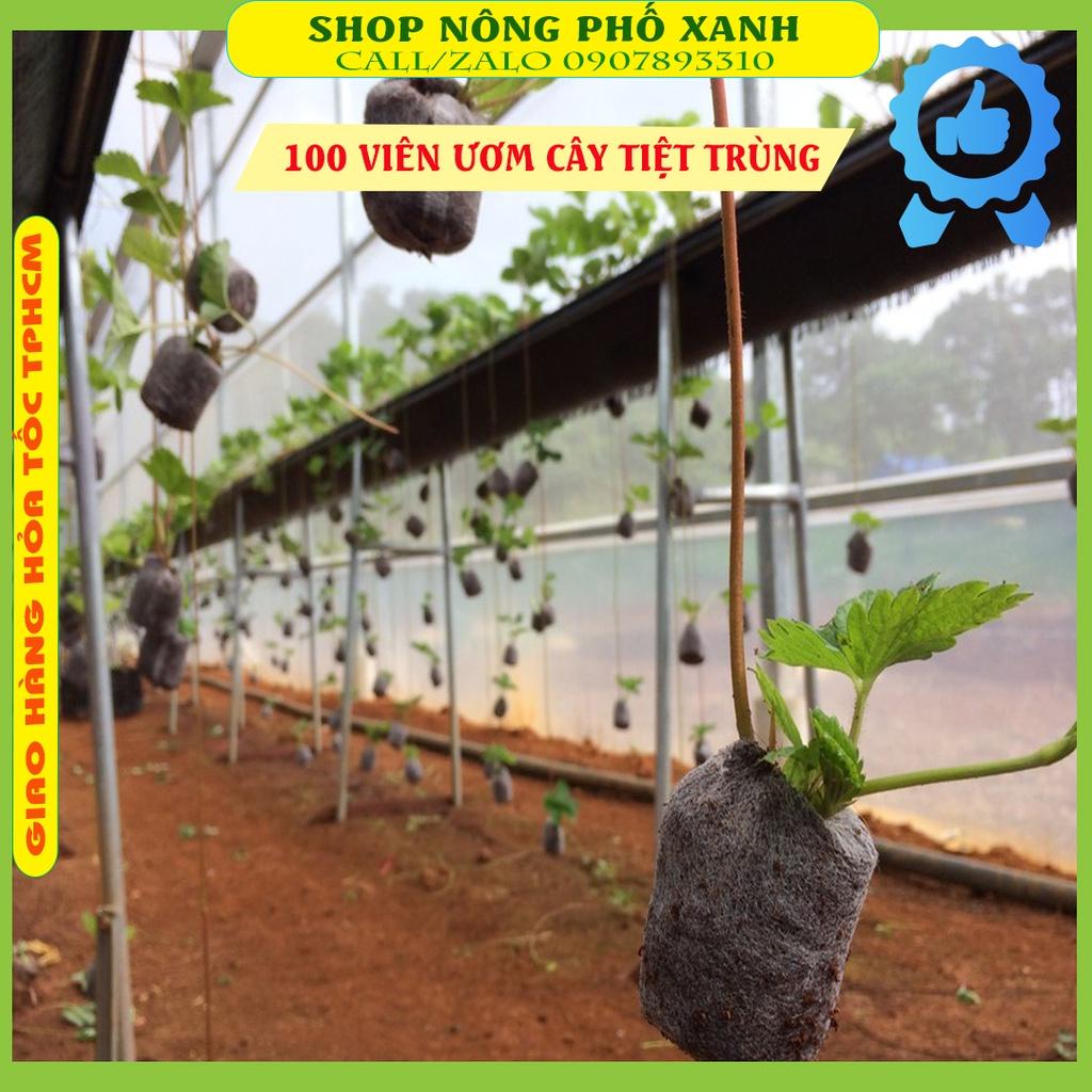 Bộ 100 viên nén ươm hạt xơ dừa hữu cơ trồng rau, dâu tây, thủy canh