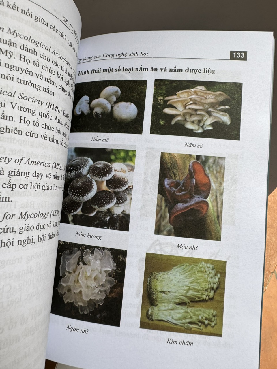 ỨNG DỤNG CỦA CÔNG NGHỆ SINH HỌC - Nguyễn Lân Dũng - Hanoi Books