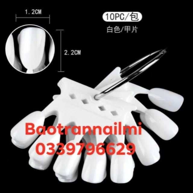 Móng mẫu 50 móng