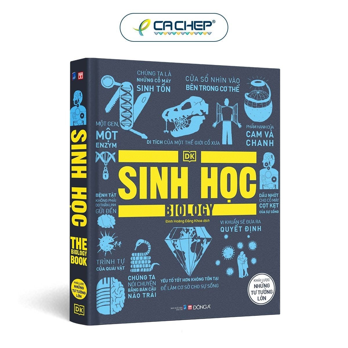 Combo 17 cuốn Khái lược những tư tưởng lớn
