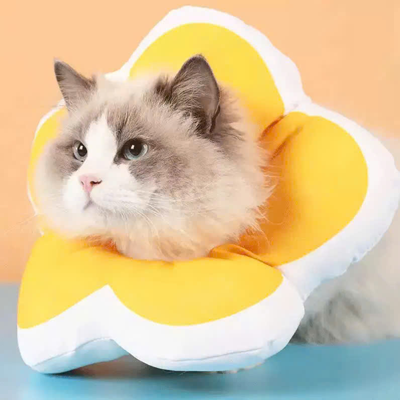 VÒNG CỔ THÚ CƯNG VÒNG CỔ LOA CHỐNG LIẾM CHO THỎ CHÓ MÈO BÔNG HOA DỄ THƯƠNG TỪ 0.5-5.5KG MÃ 10 CHO CHÓ MÈO THỎ