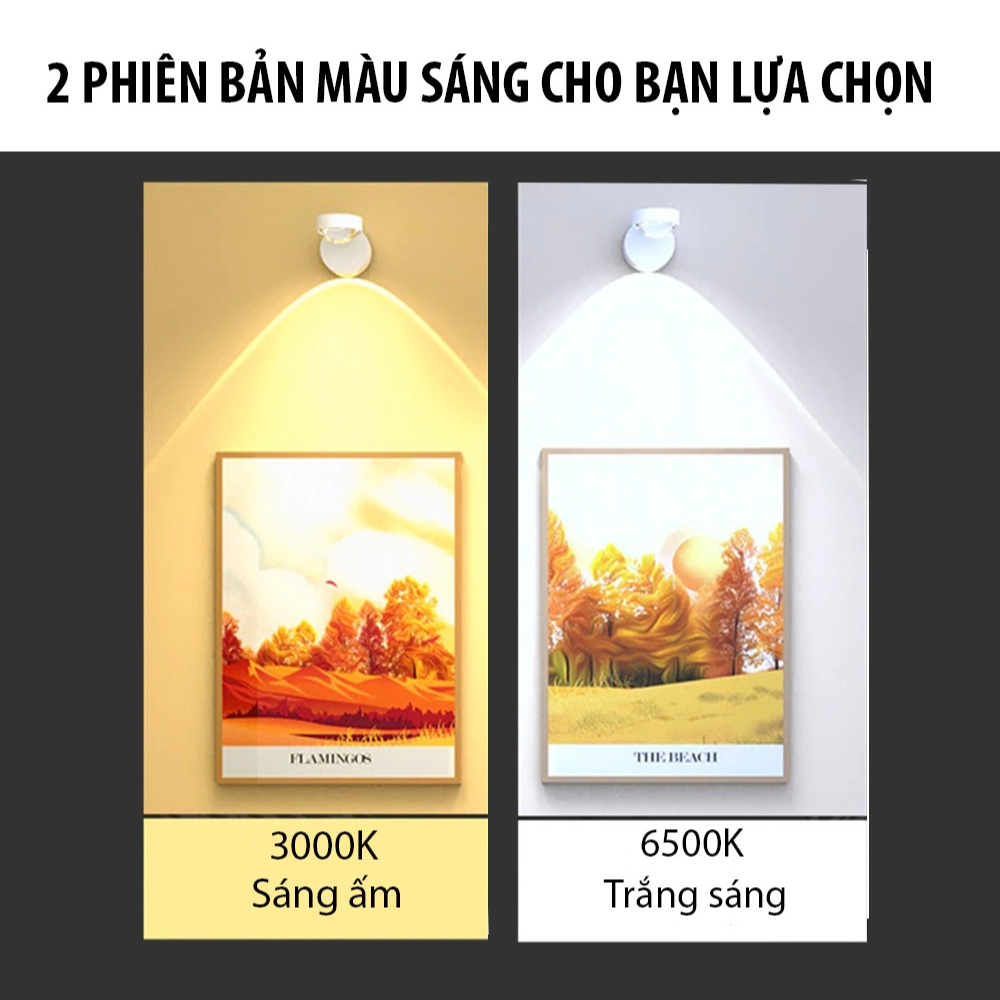 Đèn tường soi tranh, đèn spotlight cao cấp điều khiển từ xa B259