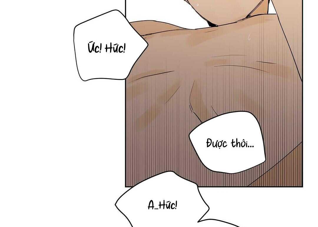 guide cấp b chapter 38 149