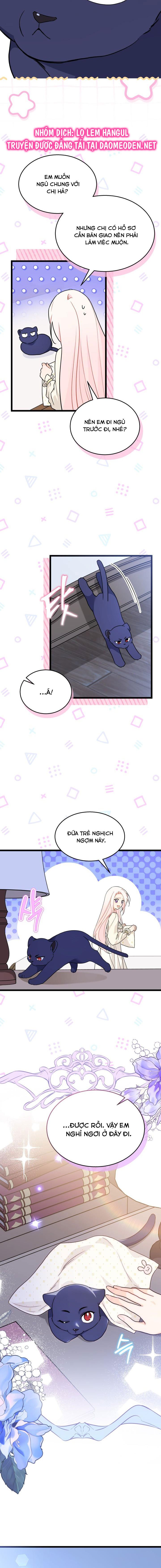 mối liên kết giữa báo đen và bé thỏ chapter 163 13