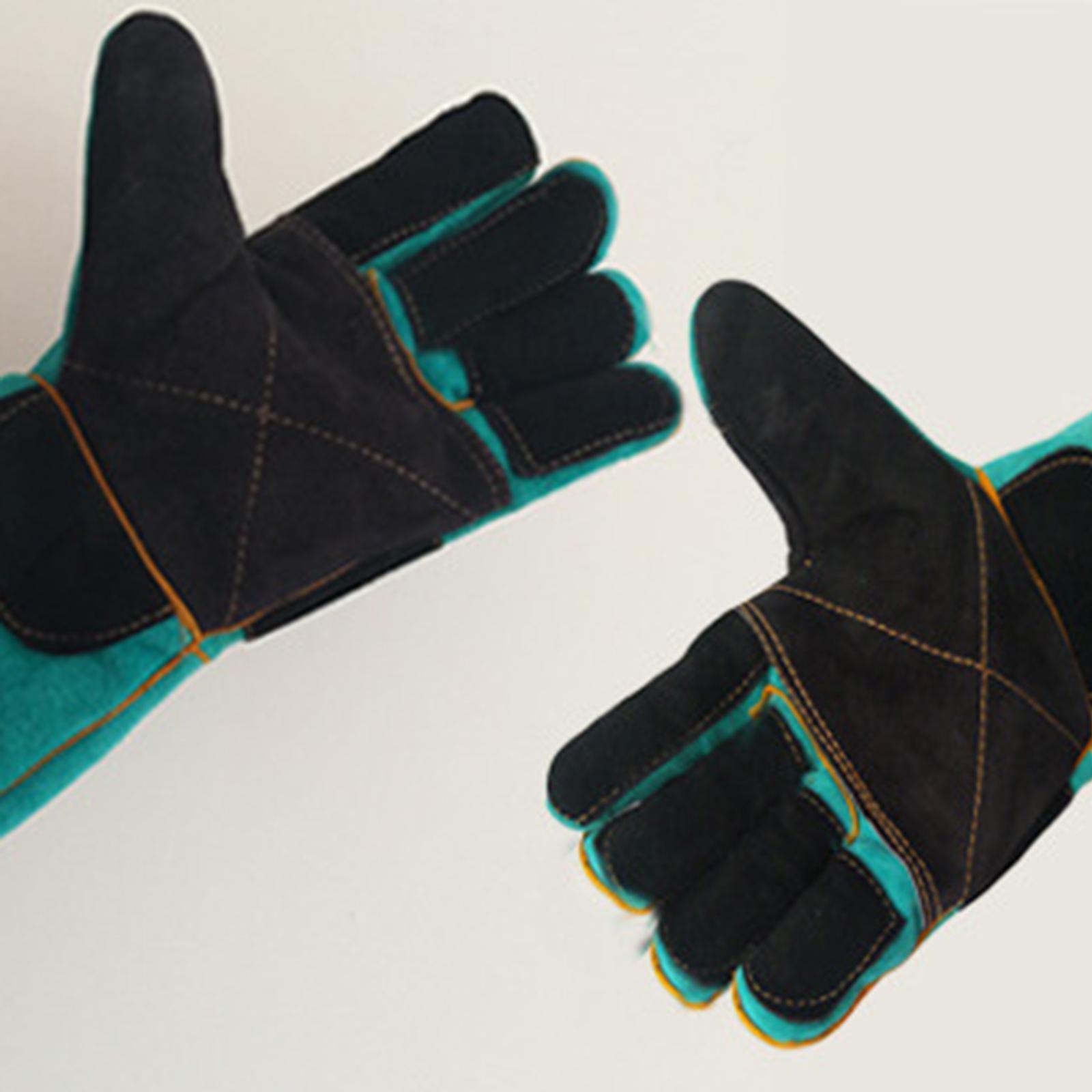 Pet Bite Resistant Gloves Animal Handling Gloves Training Gloves - Chăm sóc thú cưng Pet Bite Resistant Gloves Animal Handling Gloves Training Gloves - Chăm sóc thú cưng