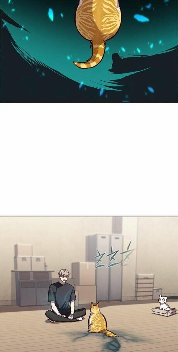 biến thân thành mèo chapter 174 50