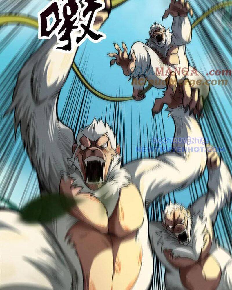 gặp mạnh thì càng mạnh, tu vi của ta không giới hạn chapter 16 69