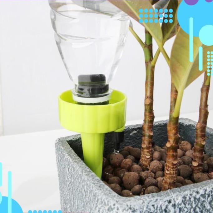 Set 12 que cắm tưới cây nhỏ giọt 206801