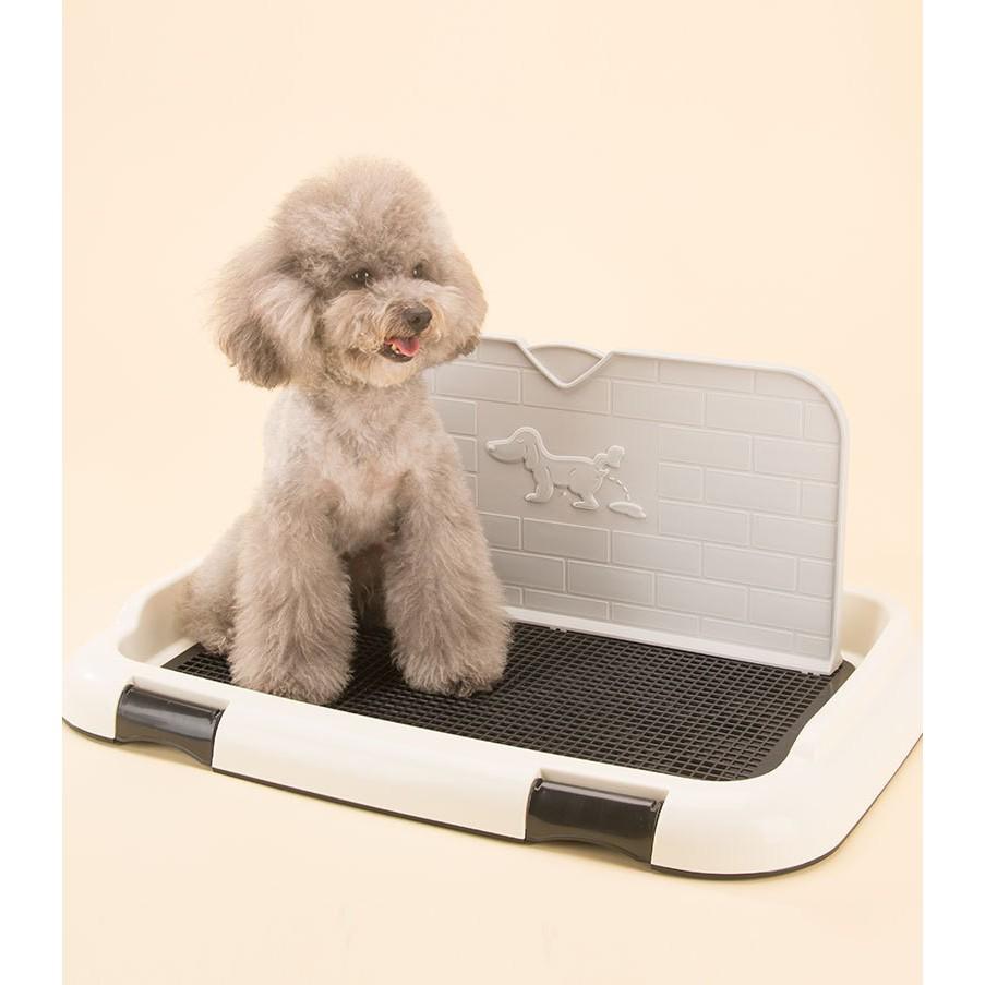 KHAY VỆ SINH CHO CHÓ CÓ TƯỜNG CHẮN - 45x36 cm
