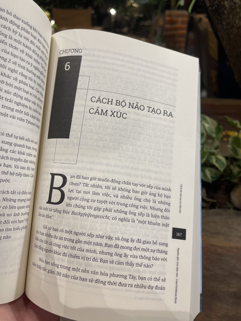 Bộ tứ Ma trận truyền thông: Nguồn gốc cảm xúc - Bí ẩn sống động của bộ não – Lisa Feldman Barrett - Phương Mạnh dịch – Lyceum – Nxb Dân Trí