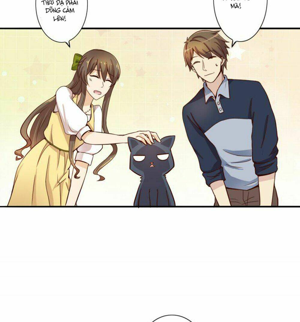 hai chú mèo totem chapter 3 27