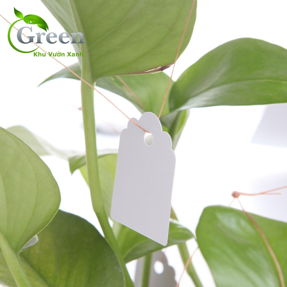 Set 100 thẻ tag ghi tên đánh dấu cây trồng bằng nhựa chống thấm nước 3.6x2.5cm