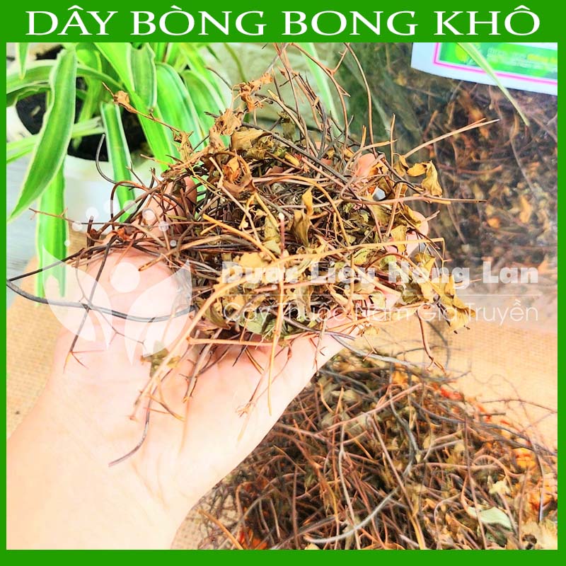 DÂY BÒNG BONG khô sạch đóng gói 1Kg loại 1 - Hàng Công Ty