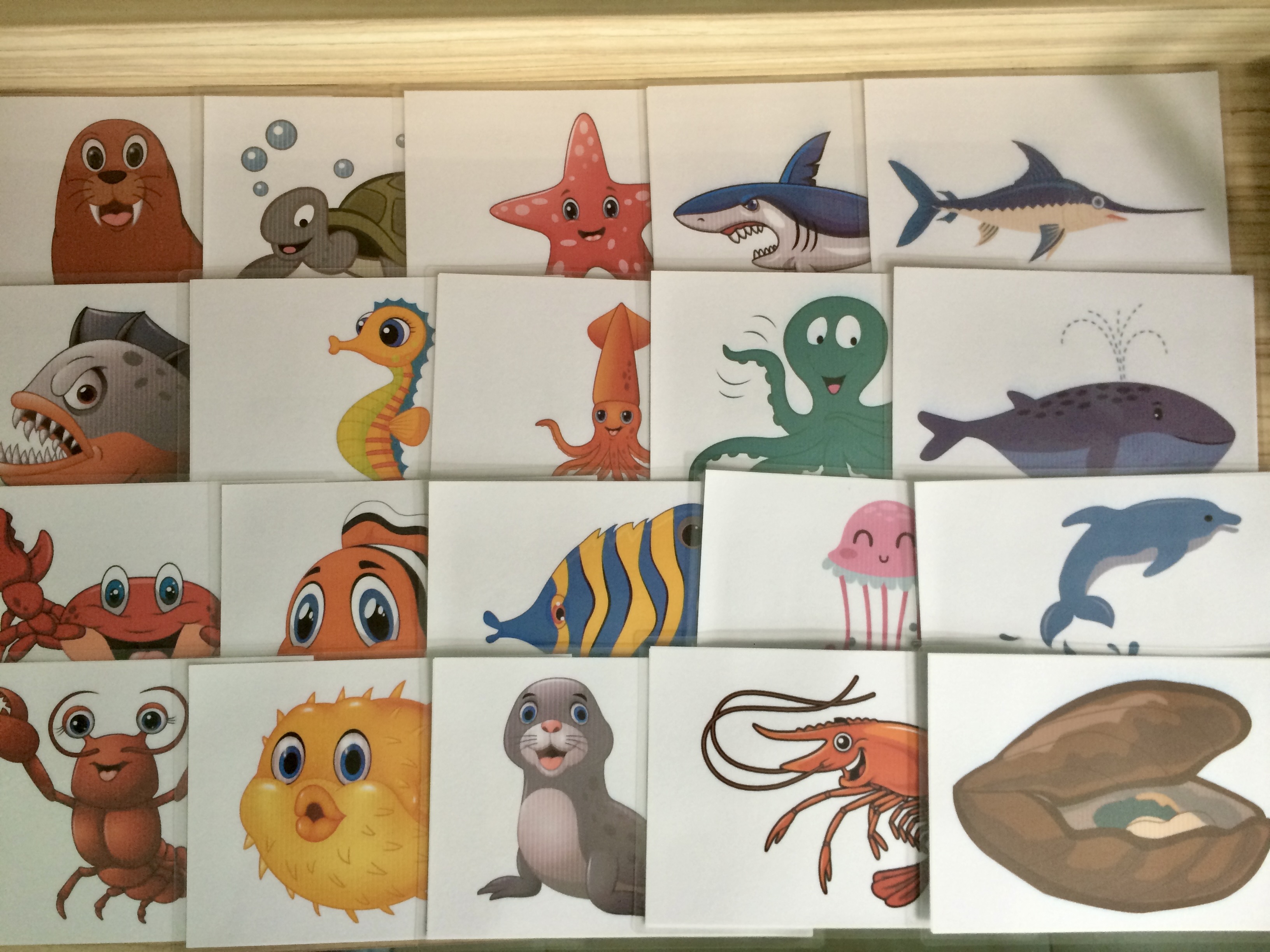 Animal Flashcards - Topic: Fish - Thẻ học tiếng Anh chủ đề Động vật: Các loài cá - 20 cards