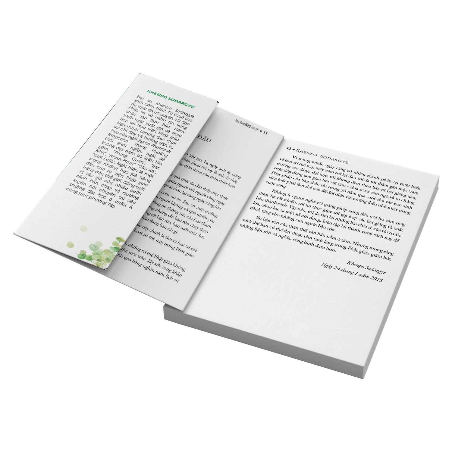 Sách Bạn Đang Bận Việc Gì - Sách Tôn Giáo, Nghệ Thuật và Văn Hóa, Tác Giả KHENPO SODARGYE - Á Châu Books, bìa mềm, in màu