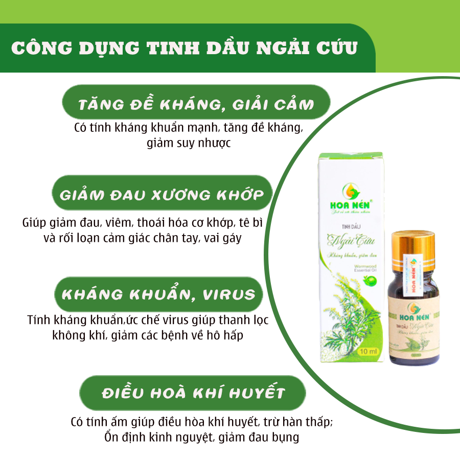 Tinh Dầu Ngải Cứu nguyên chất Hoa Nén- Kháng khuẩn, trợ hô hấp