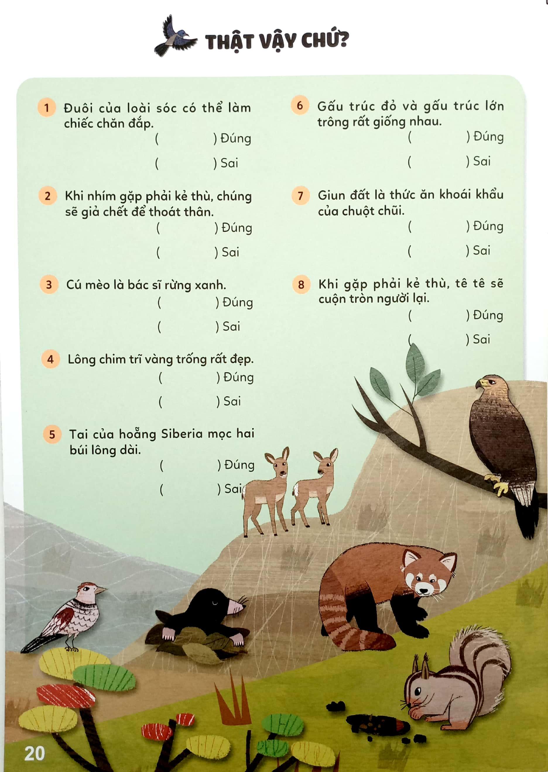Sticker Bước Vào Thế Giới Thiên Nhiên Kỳ Thú - Tập 2 - Bí Mật Rừng Rậm