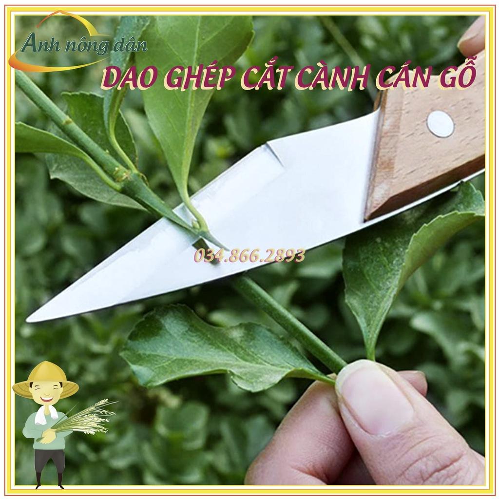 Dao ghép cành cán gỗ thép tốt - dụng cụ chuyên dùng để ghép cành