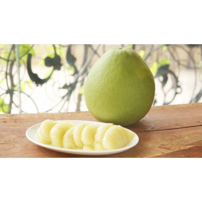 Cây giống bưởi năm roi