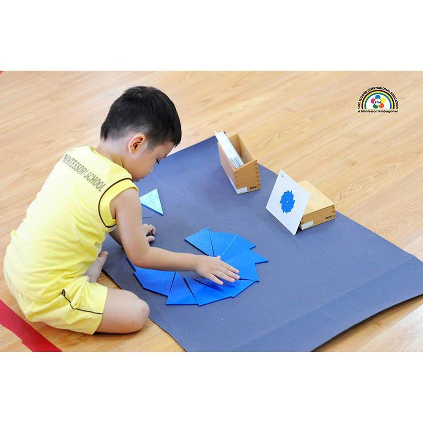 Hộp đựng các hình tam giác vuông màu xanh