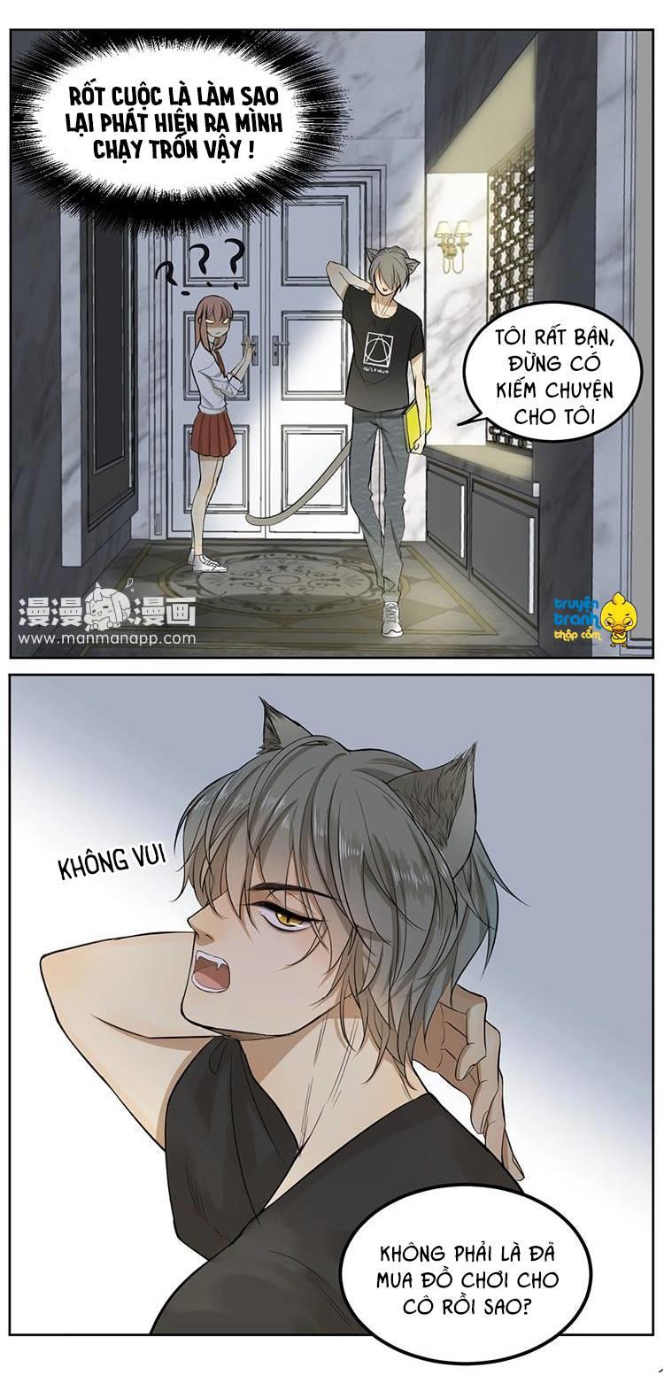 cứu mạng ! loài mèo thống trị thế giới rồi ! chapter 5 6