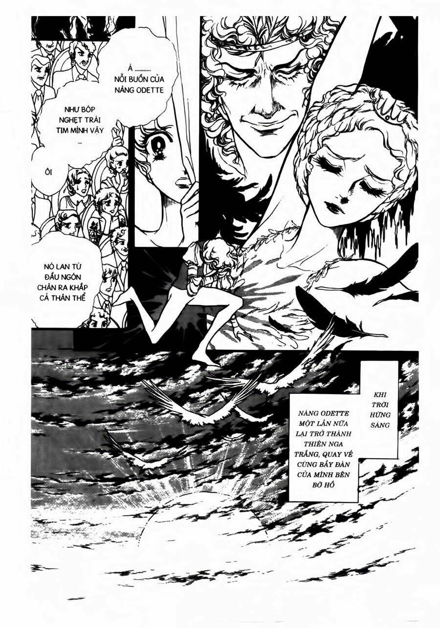 swan - vũ khúc thiên nga chapter 42 5