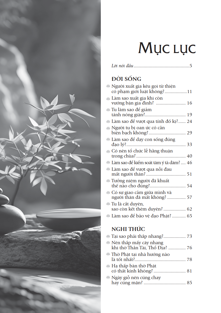 Sách Lá Hoa Trên Đường Về - Thích Pháp Hòa - First News