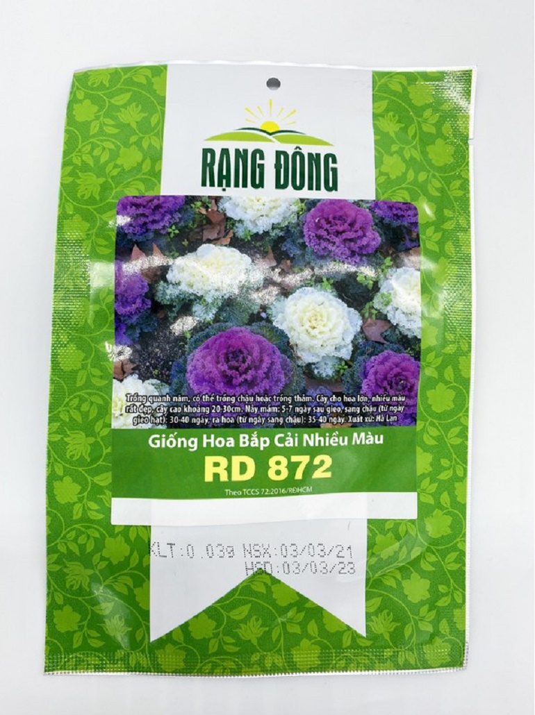 Hạt giống Hoa bắp cải kiểng nhiều màu Rạng Đông RD 872 HGHRD872