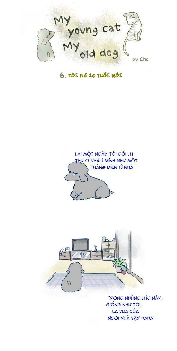 my young cat and my old dog chapter 3 9