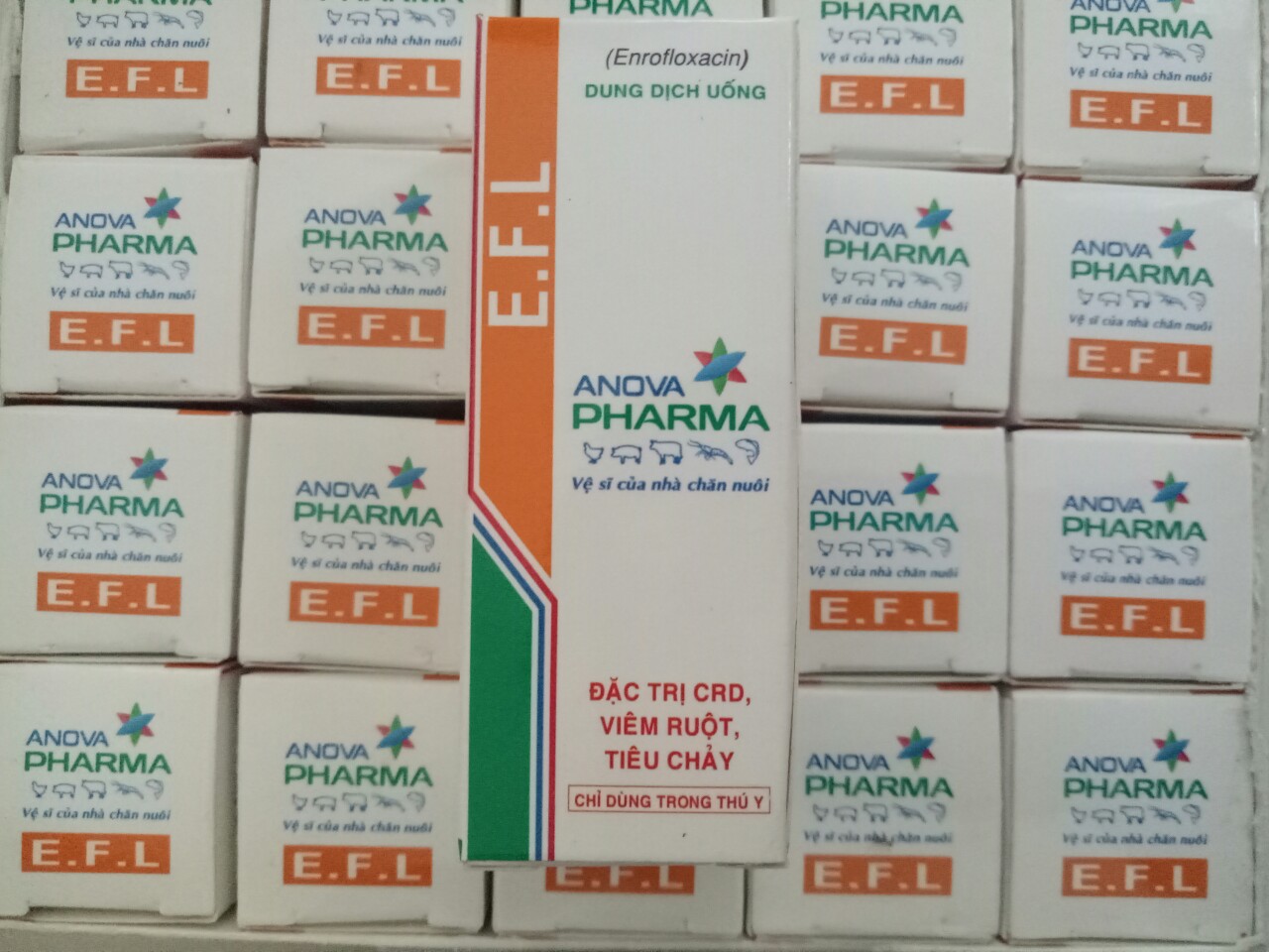 1 lọ E.F.L trị tiêu chảy, viêm ruột, CRD cho chim, vẹt, gà, vịt và thú cưng nhỏ