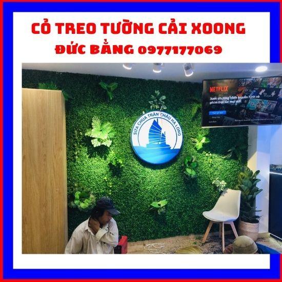 Cỏ nhân tạo treo tường cải xoong ,cỏ trang trí mắt châu rộng 40 x dài 60 tấm
