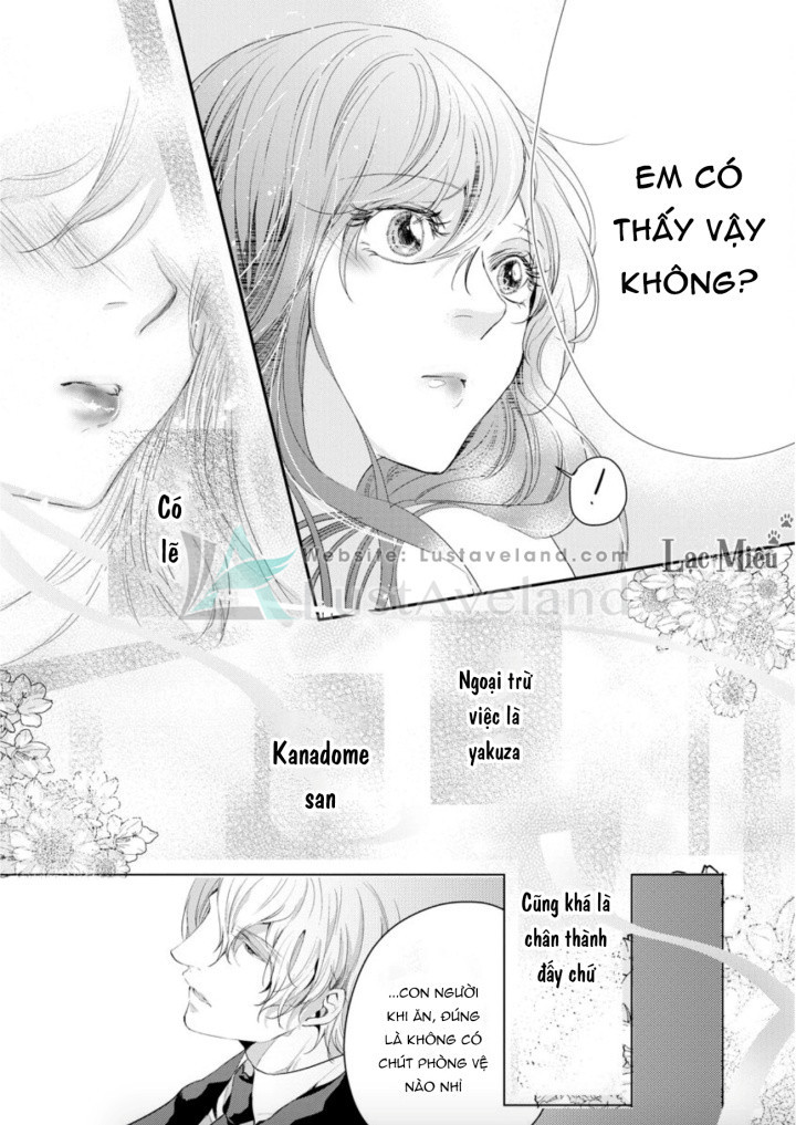 hợp đồng hôn nhân với ông trùm yakuza xấu xa chapter 4 7